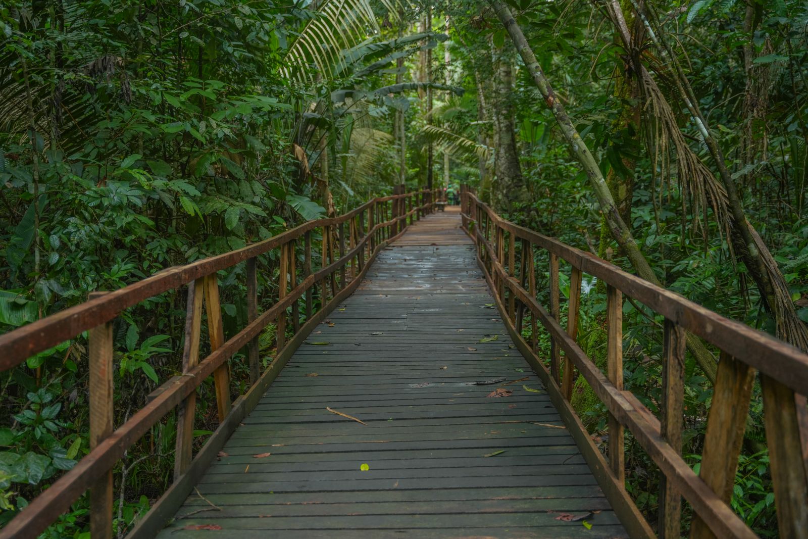 O ambiente é ideal para famílias, estudantes e turistas que desejam conhecer mais sobre a Amazônia de forma segura e organizada
